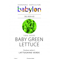 Hydroponic SALAD Seed 