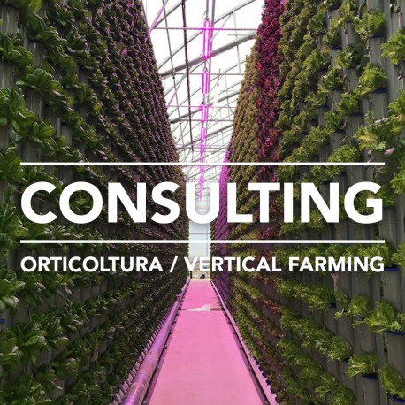 consulenza tecnica per orticoltura e svil technical consulting service for horticulture and indoor vertical farming projects
