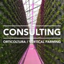 consulenza tecnica per orticoltura e svil technical consulting service for horticulture and indoor vertical farming projects