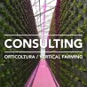 consulenza tecnica per orticoltura e svil technical consulting service for horticulture and indoor vertical farming projects