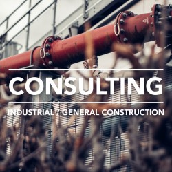 Consulenza tecnica e organizzativa per l’industria