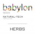 Medicinal plants hydrophonics seeds