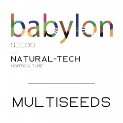 Multiseeds