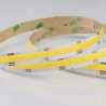 Striscia LED COB  5 metri 8mm EV