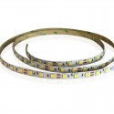 Strip Flessibile 5 metri