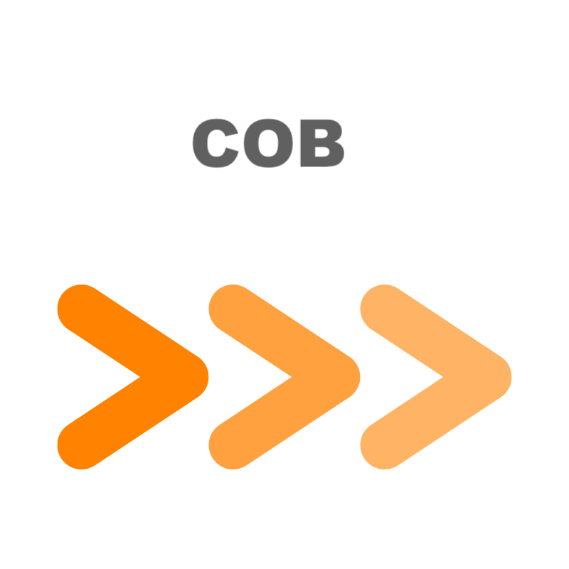 Strisce LED COB