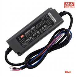 PWM-DALI- Driver Mean Well 24V